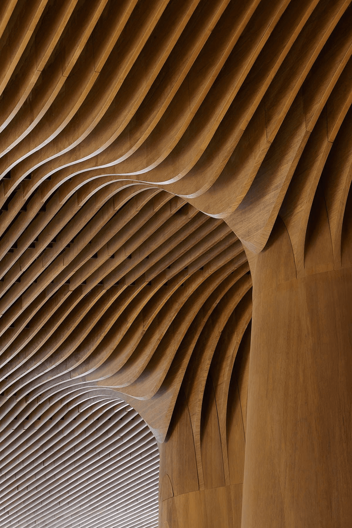 Architectural wood interior